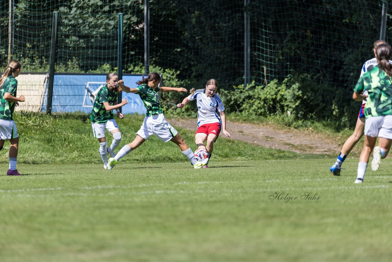 Bild 88 - wBJ Hamburger SV - VfL Wolfsburg : Ergebnis: 5:1